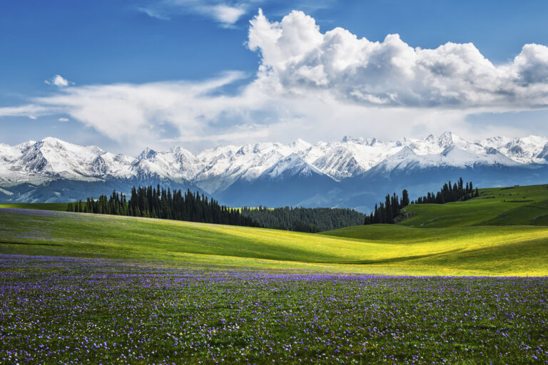Horizon - 4.Landscape of Kelajun Grassland